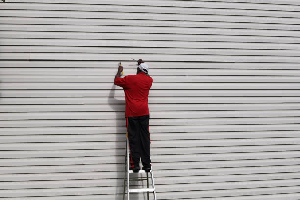 Best Siding Painting and Refinishing  in Archer City, TX